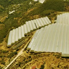 Antalya'da tropikal meyve bahçelerine kurulan GES enerji maliyetlerini düşürdü