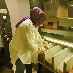 El sanatları eğitmeni kadın KOSGEB desteğiyle fındık işleme tesisi kurdu