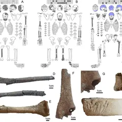 Göbekli Tepe'de İlk Kez Bozulmamış İnsan Mezarları Bulundu