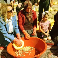 Nevşehir'de çerezlik kabak çekirdeği hasadı başladı