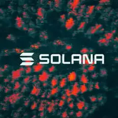Solana Treasury Firm Skyai Keeps Board After Shareholder Protest, Loses Equity Plan Vote