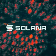 Solana Treasury Firm Skyai Keeps Board After Shareholder Protest, Loses Equity Plan Vote