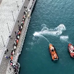 UN Tiburón de 3,5 Metros, Atrapado en Busan y Nombrado "Embajador Honorario"