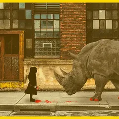 2024'te Gri Gergedan (Gray Rhino) Riskleri ve Korunma Stratejileri