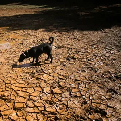 "une Carte Postale du Futur" : Le "Super El Niño" Menace de Faire 450 000 Morts