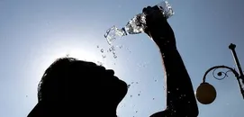 Almanya'da Sıcak Hava Bilançosu Ağırlaşıyor: 12 Bin 500 Can Kaybı