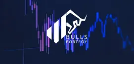 Bulls Portföy Fon Yapısını Açıkladı: Varlıkların %54,7'Si Nakitte