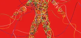 Feeling Wired? The Truth About ‘Nervous System Resets’