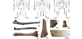 Göbekli Tepe'de İlk Kez Bozulmamış İnsan Mezarları Bulundu