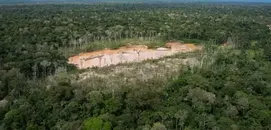 How Gold Surpassed Cocaine as Peru’s Most Profitable Criminal Industry
