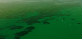 İzmir mavi bayraklı plajlarıyla çevreci turizmde yükseliyor