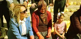 Nevşehir'de çerezlik kabak çekirdeği hasadı başladı