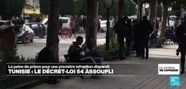 Tunisie : Le Décret-Loi 54 Assoupli, la Peine de Prison pour une Première Infraction Disparaît