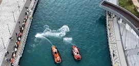 UN Tiburón de 3,5 Metros, Atrapado en Busan y Nombrado "Embajador Honorario"