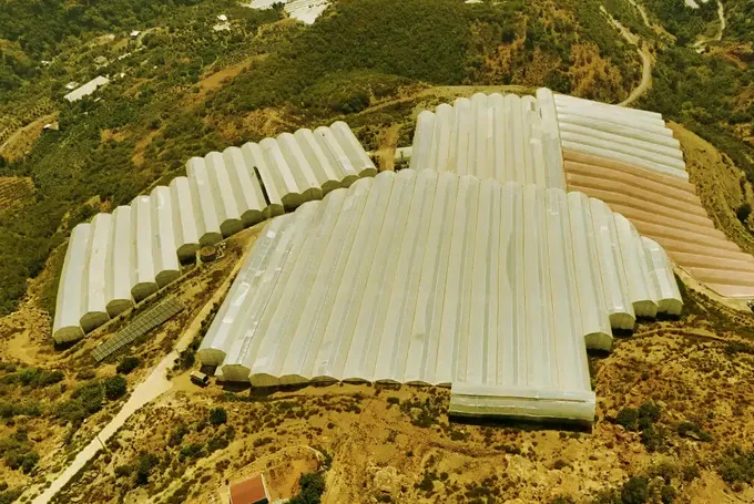 Antalya'da tropikal meyve bahçelerine kurulan GES enerji maliyetlerini düşürdü Antalya'da tropikal meyve bahçelerine kurulan GES enerji maliyetlerini düşürdü