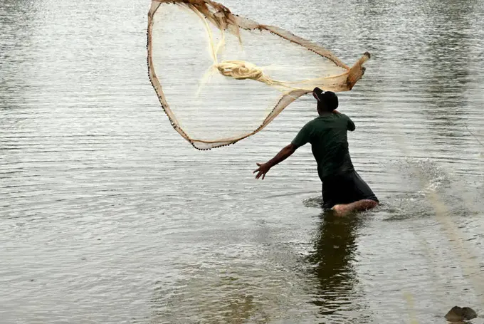 Climat : Les Pays du Pacifique au Premier Plan Lors du Sommet Avant la COP31