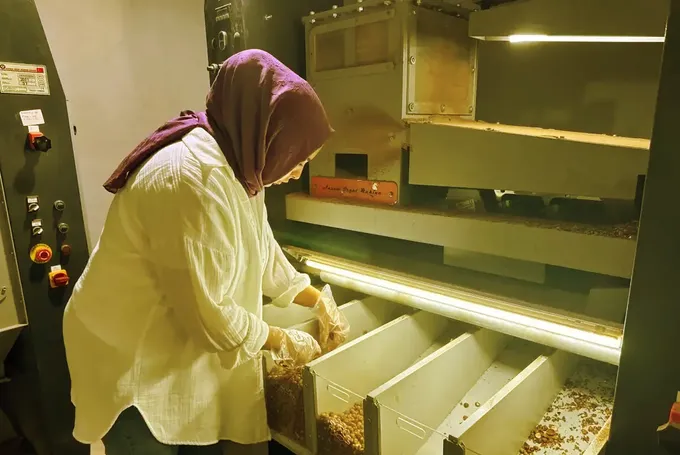 El sanatları eğitmeni kadın KOSGEB desteğiyle fındık işleme tesisi kurdu