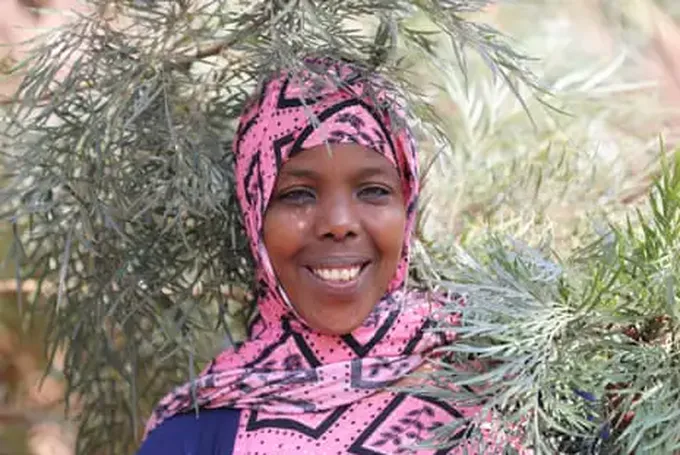 ‘I See Them Like My Own Children’: Reforesting Ethiopia With 50Bn Trees, One Step At A Time