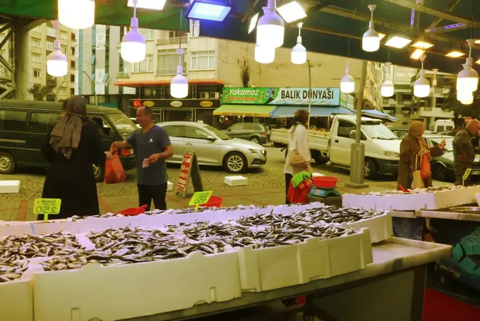 Rize'de balık tezgahlarında hamsi bolluğu yaşanıyor