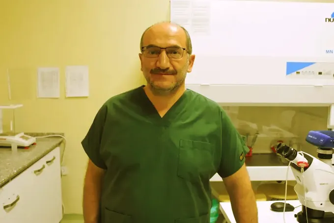 Süt alerjisine ilişkin bilimsel çalışmayla BLG üreten genleri susturulmuş buzağılar doğdu