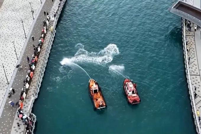 UN Tiburón de 3,5 Metros, Atrapado en Busan y Nombrado "Embajador Honorario"