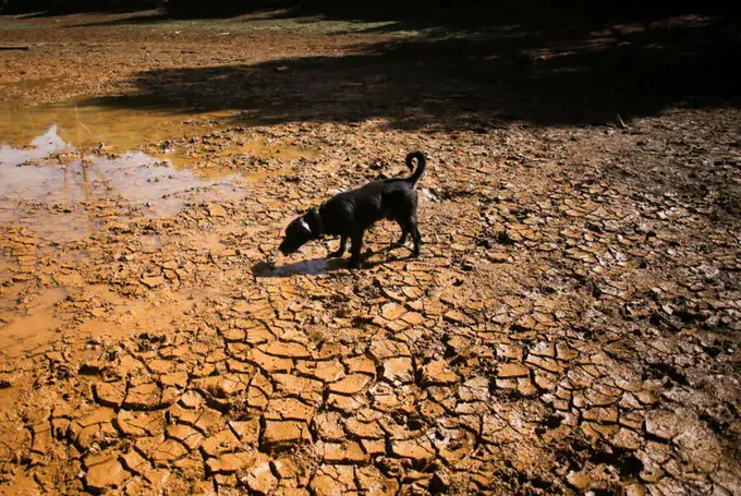 "une Carte Postale du Futur" : Le "Super El Niño" Menace de Faire 450 000 Morts