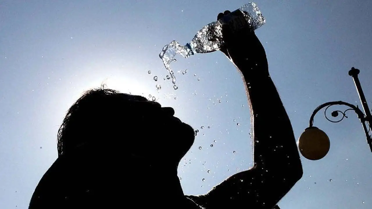Almanya'da Sıcak Hava Bilançosu Ağırlaşıyor: 12 Bin 500 Can Kaybı