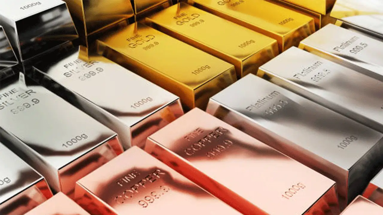 Emtia Piyasasında Şubat'ta En Çok Kazandıran Değerli Metaller ve Buğday Oldu